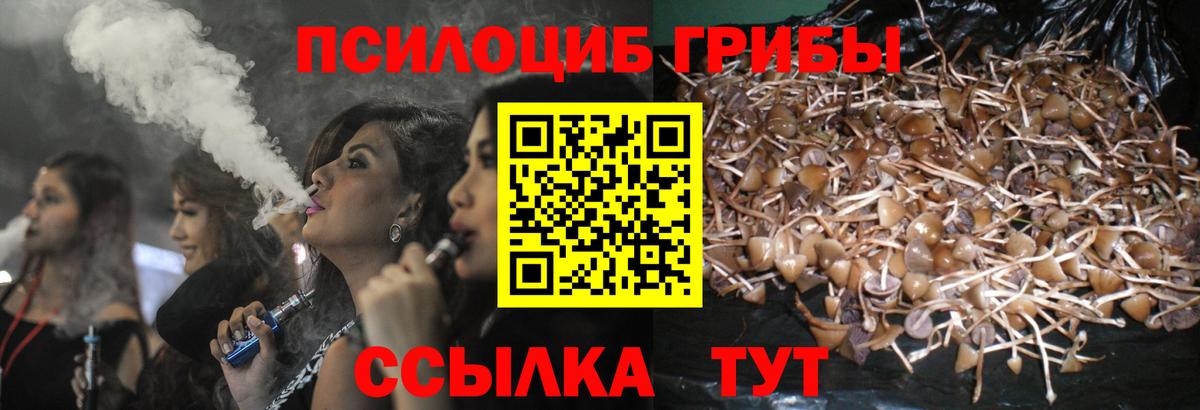 Обнинск  Псилоцибиновые грибы ЛСД  Галлюциногенные грибы MAGIC MUSHROOMS  Вход с VPN 